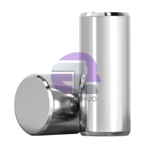 Stainless Steel Cylindrical Fixing Pin