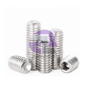 Stainless Steel Hex Socket Flat Point Grub Bolt