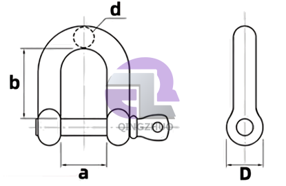 Stainless Steel D Shackle - Image 7