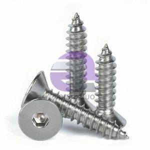 Stainless Steel Countersunk Hexagon Socket Self-Taping Screws