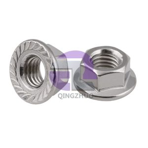 Stainless Steel Hex Flange Nut
