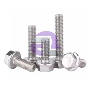 Stainless Steel Flange Hexagon Bolt